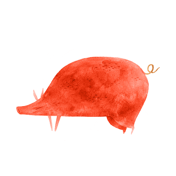 Cerdo