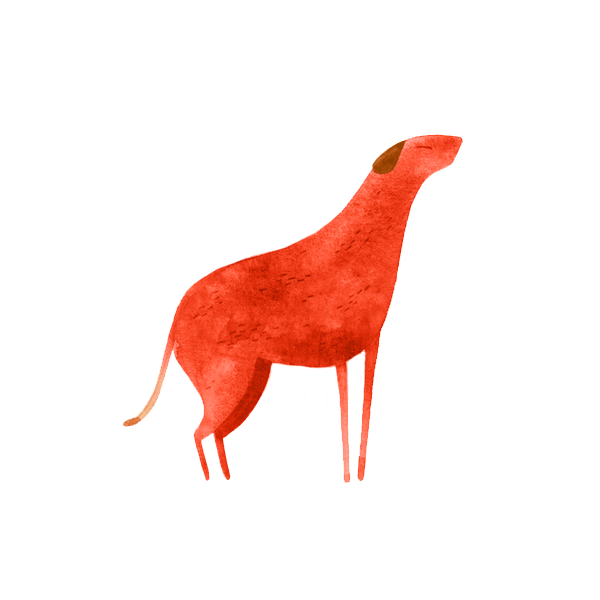 Perro